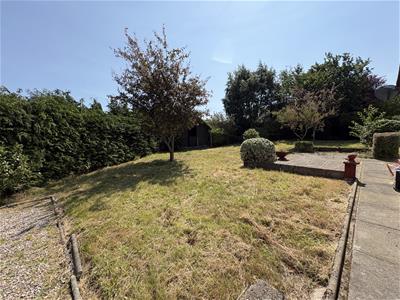 Picture 23
